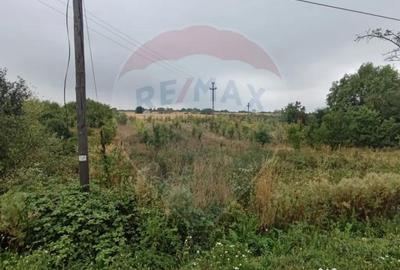 Teren de 2341 mp, în Uileacu de Munte - 6