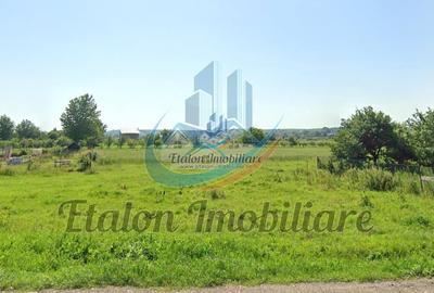 Teren Construcții de 8000 mp, în Periferie - 1