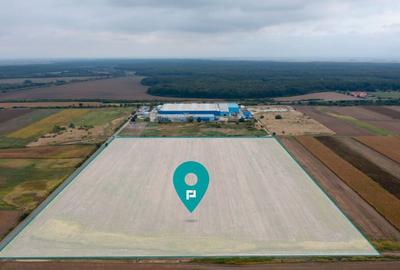 Teren extravilan 5 hectare ( zona industriala ) ?ag - 12