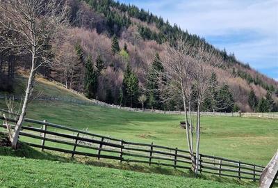 7.000 mp, pozitie spectaculoasa, fara vecini, Fundatica, Brasov - 9