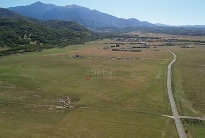 Teren extravilan Rasnov - 11