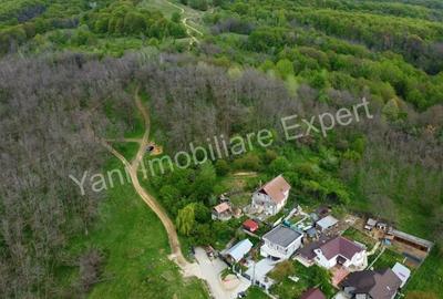 Teren de vanzare in Curtea de Arge?, strada Paune?ti. - 5