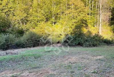 Teren de 2482 mp, în Bratca - 10