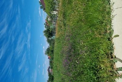 Vanzare Teren construibil 600mp 1 Decembrie Ilfov - 3