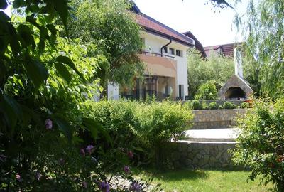Vanzare vila cu D+P+Et +M, intravilan 1670 mp, Saftica - 28