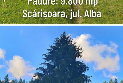 Spațiu comercial, în Câmpeni - 1