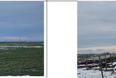 Teren de 20000 mp, în Dragalina - 2