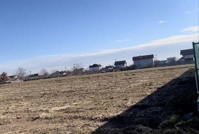 Teren de 574 mp, în Bradu - 6