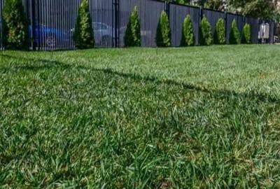 Tomis III , spatii IDEAL BIROURI, 4 camere, constructie 2023 - 2