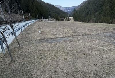 Spațiu comercial, în Central - 4