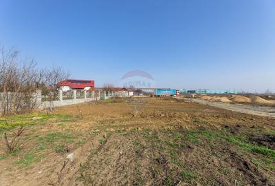 Teren Construcții intravilan de 304 mp, în Micălaca - 1