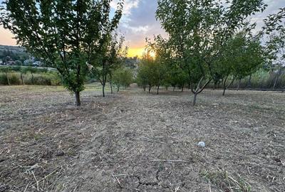 Spațiu comercial, în Vulturi - 8