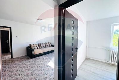 Apartament Renovat, Luminos - sector 4 - 7