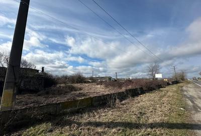 Teren Construcții intravilan de 39581 mp, în Dragomirești - 3