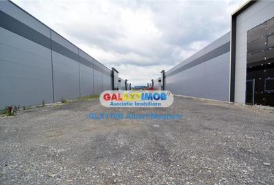 Spatiu Depozitare/Hala Centura-Mogosoaia - 4
