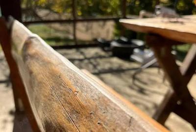 Casa de vacan?a, 1100 MP teren, Cauaceu, Biharia, Bihor. - 3