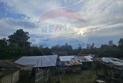 Casă cu 3 camere cu Teren 12955 Mp în Jdioara - 7