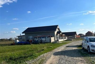 Teren Construcții intravilan de 848 mp, în Tărian