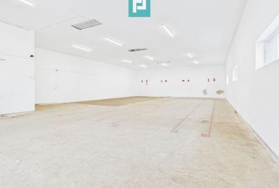 Spațiu industrial de 245 mp - 1