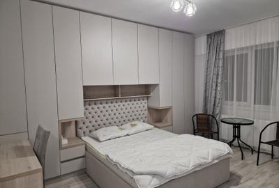 Garsonieră decomandată, mobilată în Podu Roș - 3