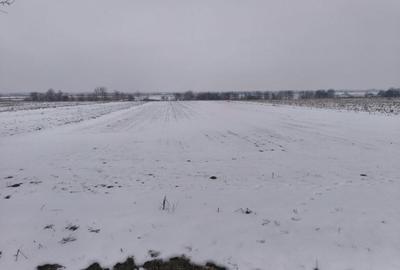 Teren de 6000 mp, în Horodnic - 1