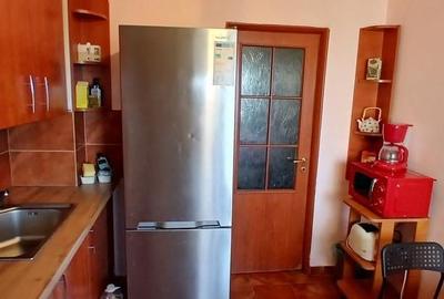 Apartament cu 3 camere semidecomandat, mobilat în Banu Manta - 6