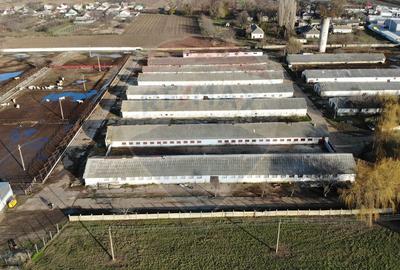 Spațiu industrial, de 16,000 mp, în Pufești - 2