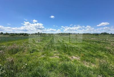 Teren Construcții intravilan de 2600 mp, în Horodnic de Sus - 3