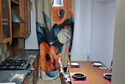 Inchiriere Apartament 2 Camere Craiova - 1