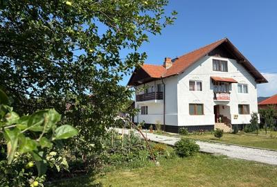 Casă Spațioasă și Domeniu Generos de Vânzare în sat Râu Barbat, comuna Pui, HD - 11