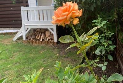 Duplex cu 5 camere cu Canalizare în Ostratu - 9