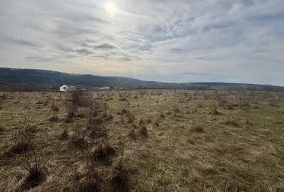 Teren de 802 mp, în Periferie - 5