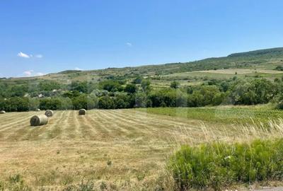 Teren de 2094 mp, în Chinteni - 3