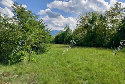 Teren intravilan 2100 mp de pe Valea Avrigului in Sibiu - 1