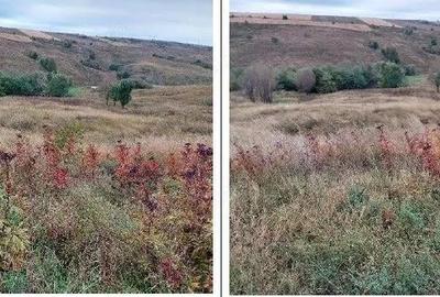 Teren extravilan pasune Ardeoani, ID: R2404603 - 5