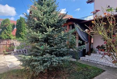 Casa de vanzare, Sanmartin la intrarea in localitate - 12