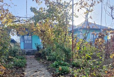 Casă cu 5 camere cu Teren 1820 Mp în Perișor - 1