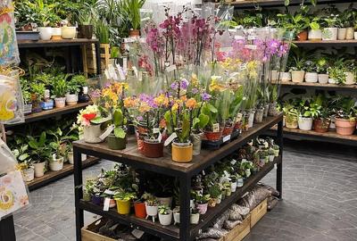 Spațiu comercial, de 70 mp, în Tineretului - 3