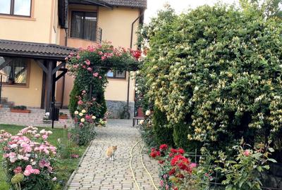 Casa Cristian direct proprietar. - 10
