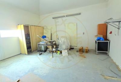 Casă individuală cu 3 camere cu Canalizare în Botiz - 13