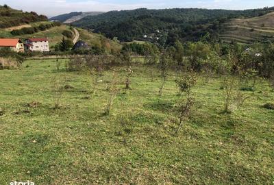 Spațiu comercial, în Tăuți - 3