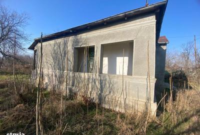 Casă cu 3 camere în Mânzu - 1