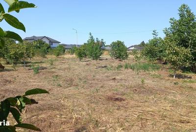 Spațiu comercial, în Crevedia - 6