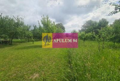 Casă de vânzare în Bănești - 27