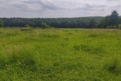 Casă cu 4 camere cu Teren 2600 Mp în Horodnic - 4