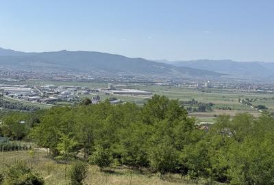 Teren Construcții intravilan de 571 mp, în Ciugud - 1