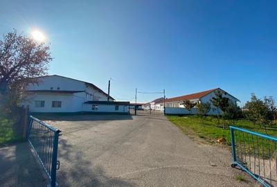 Proprietate industriala complet utilata – ideala pentru productie, depozitare