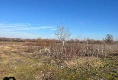 Teren intravilan, Sacadat, 27 921 mp. 9,5 Euro/mp. Comi... - 3