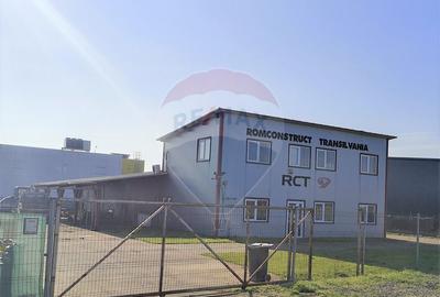 Hala Industriala, Parcul Industrial Bors 2, De Vanzare - 15