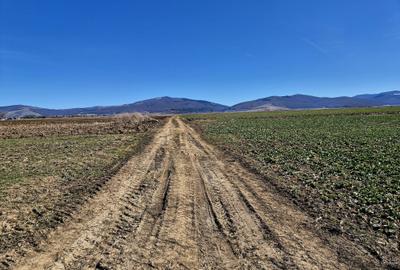 Teren extravilan de 18500 mp, în Prejmer